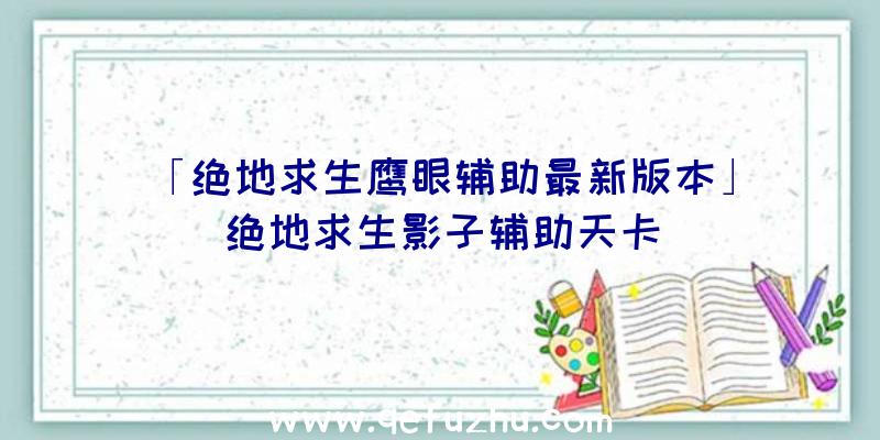 「绝地求生鹰眼辅助最新版本」|绝地求生影子辅助天卡